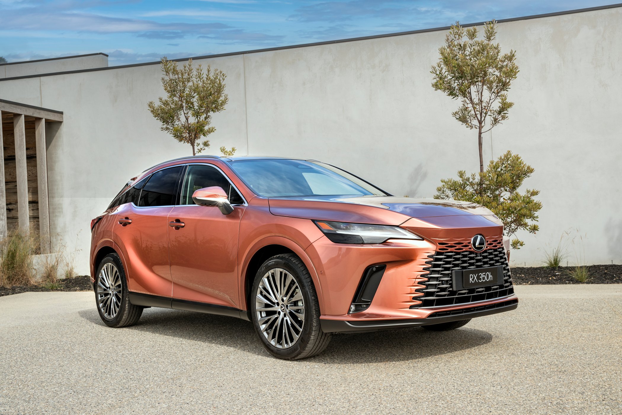 2023 Lexus RX 350h Sports Luxury