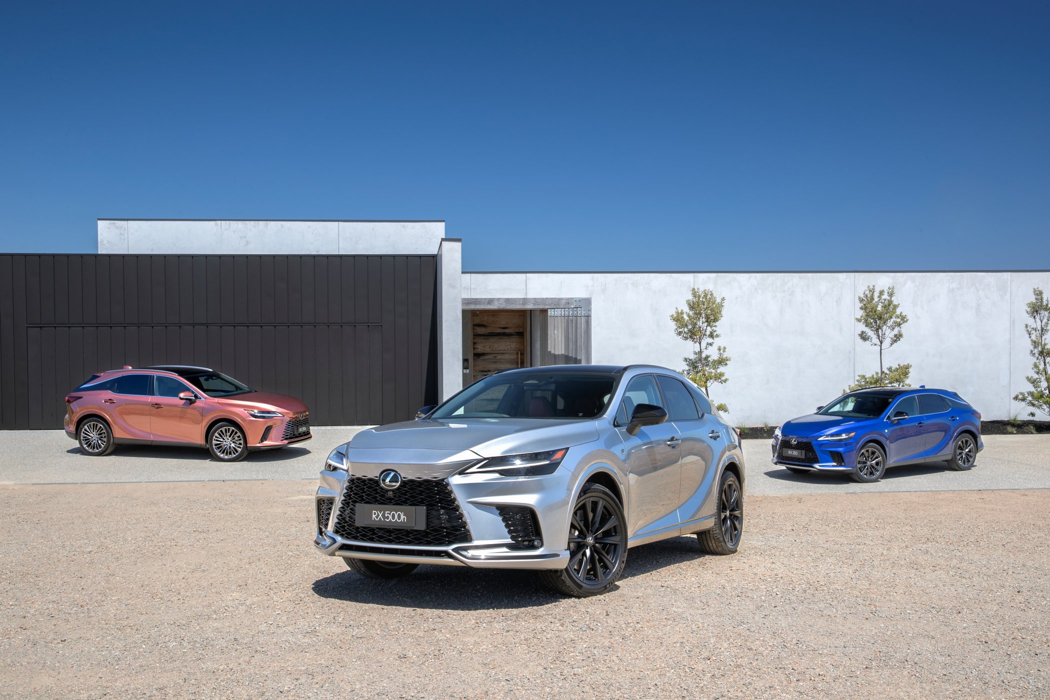 2023 Lexus RX (L-R) RX 350h Sports Luxury, RX 500h F Sport Performance and RX 350 F Sport.