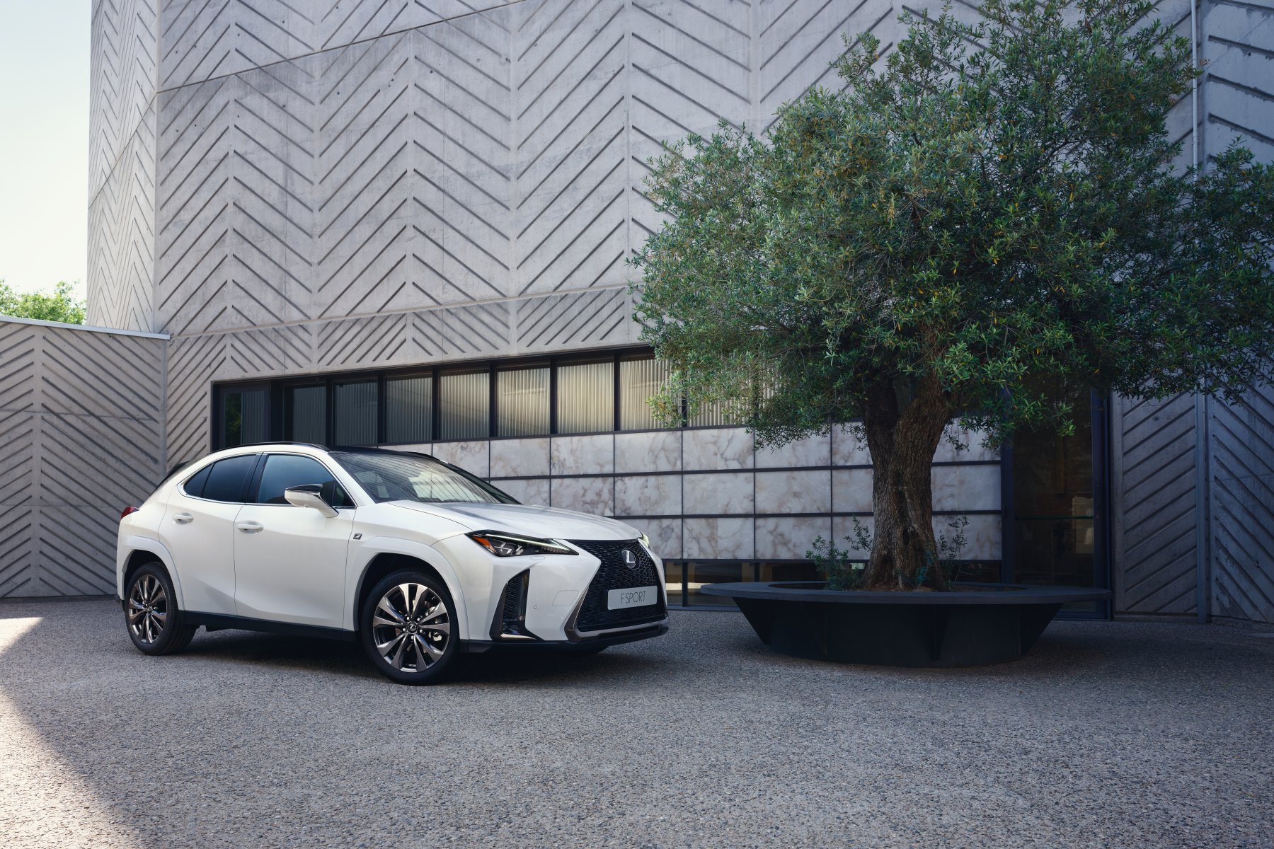 Lexus UX 250h F Sport 1