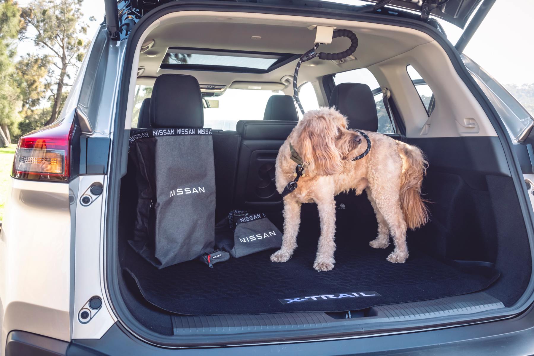 Nissan DOG ACCESSORIES Xtrail e4orce 2