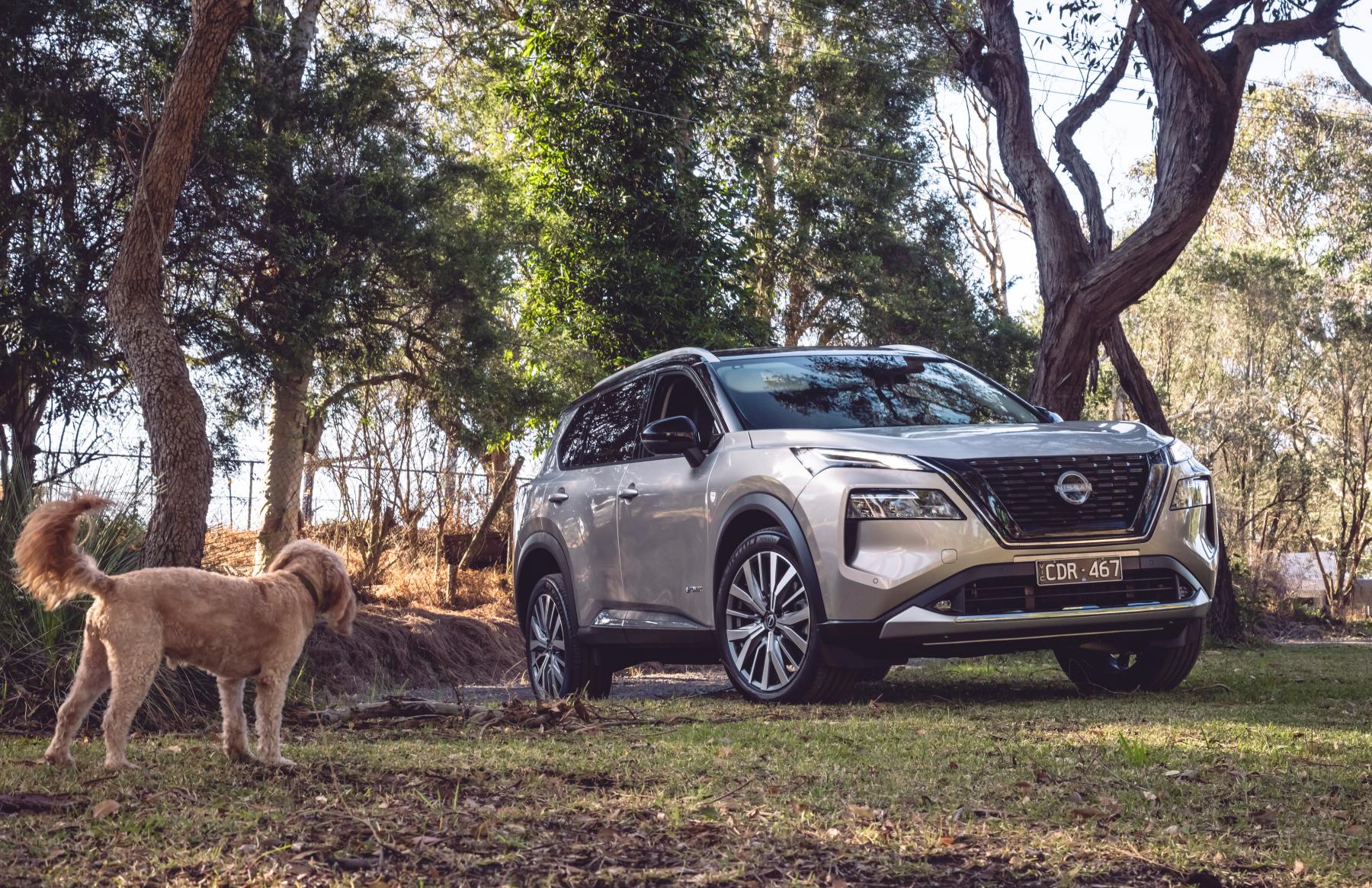 Nissan DOG ACCESSORIES X-trail e4orce 3